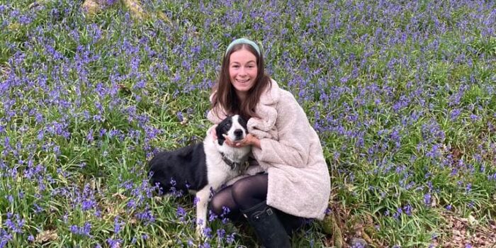 Bluebells in Flakebridge wood