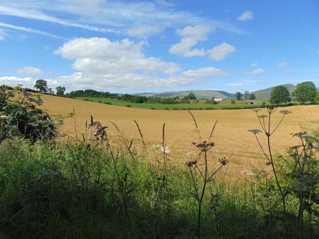 open fields near appleby